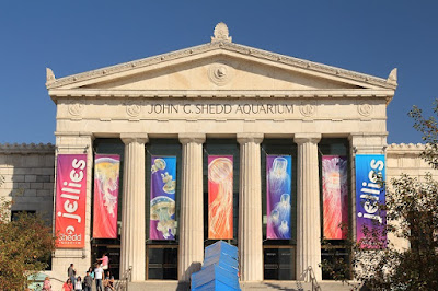 Entrada Shedd Aquarium