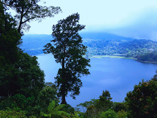 Forest Tree And Natural Mountain Lake Scenery Of Lake Buyan From Wanagiri Village, Buleleng, Bali, Indonesia