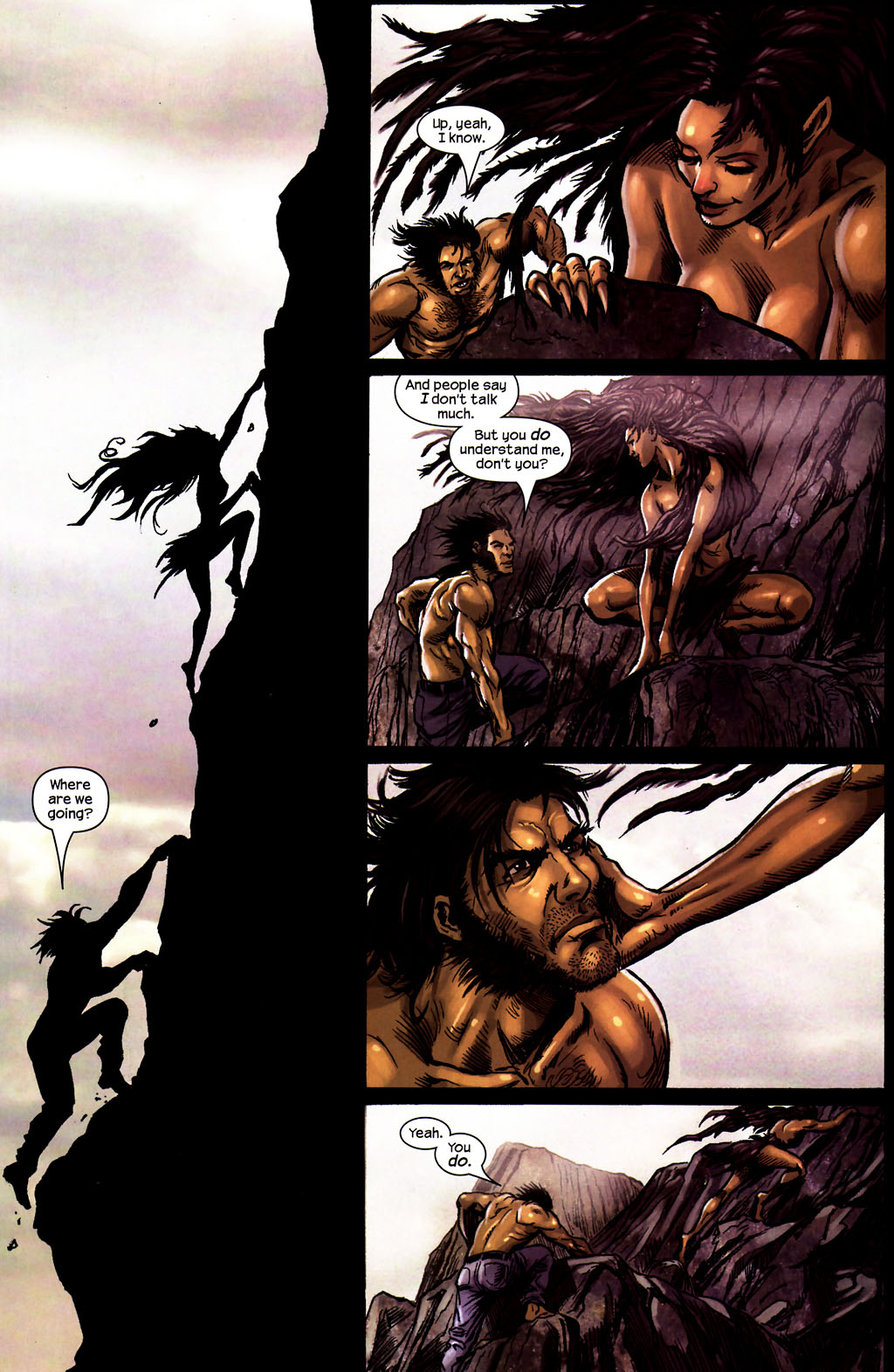 Wolverine (2003) Issue #15 #17 - English 18