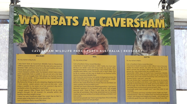 Caversham Wildlife Park, Perth Australia