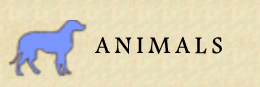 http://answer-quiz.blogspot.com/2016/03/doodle-alchemy-animals.html