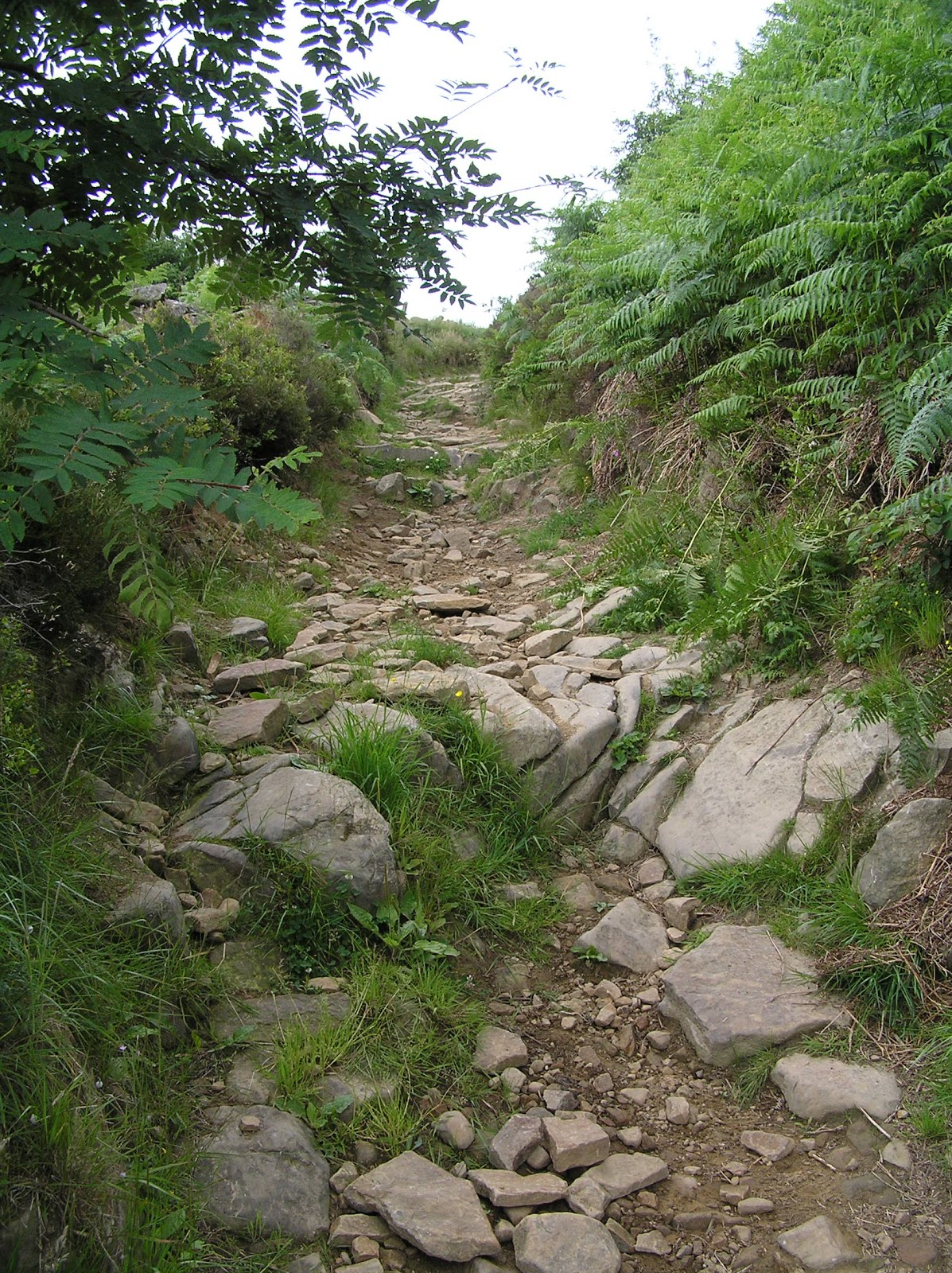 bikepacking peak district