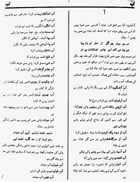 Persian (Farsi) to Urdu Dictionary Feroz e Lugat Book 