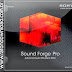 Sound Forge Pro 11 Crack e Serial Torrent