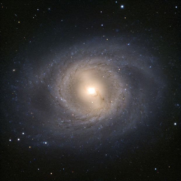 Barred Spiral Galaxy M95 as seen by the VLT