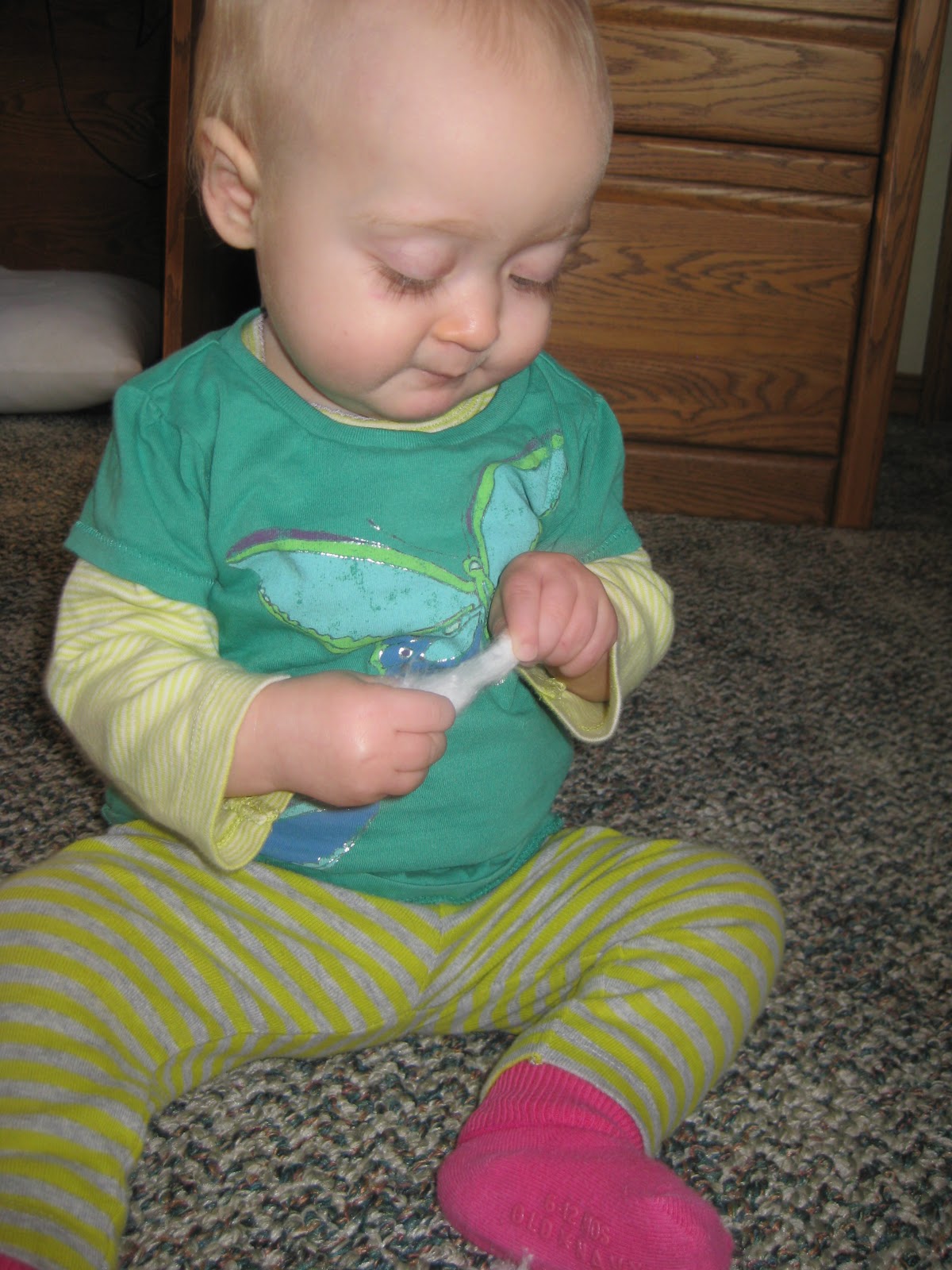 Adventures of West and Lula pulling apart cotton balls