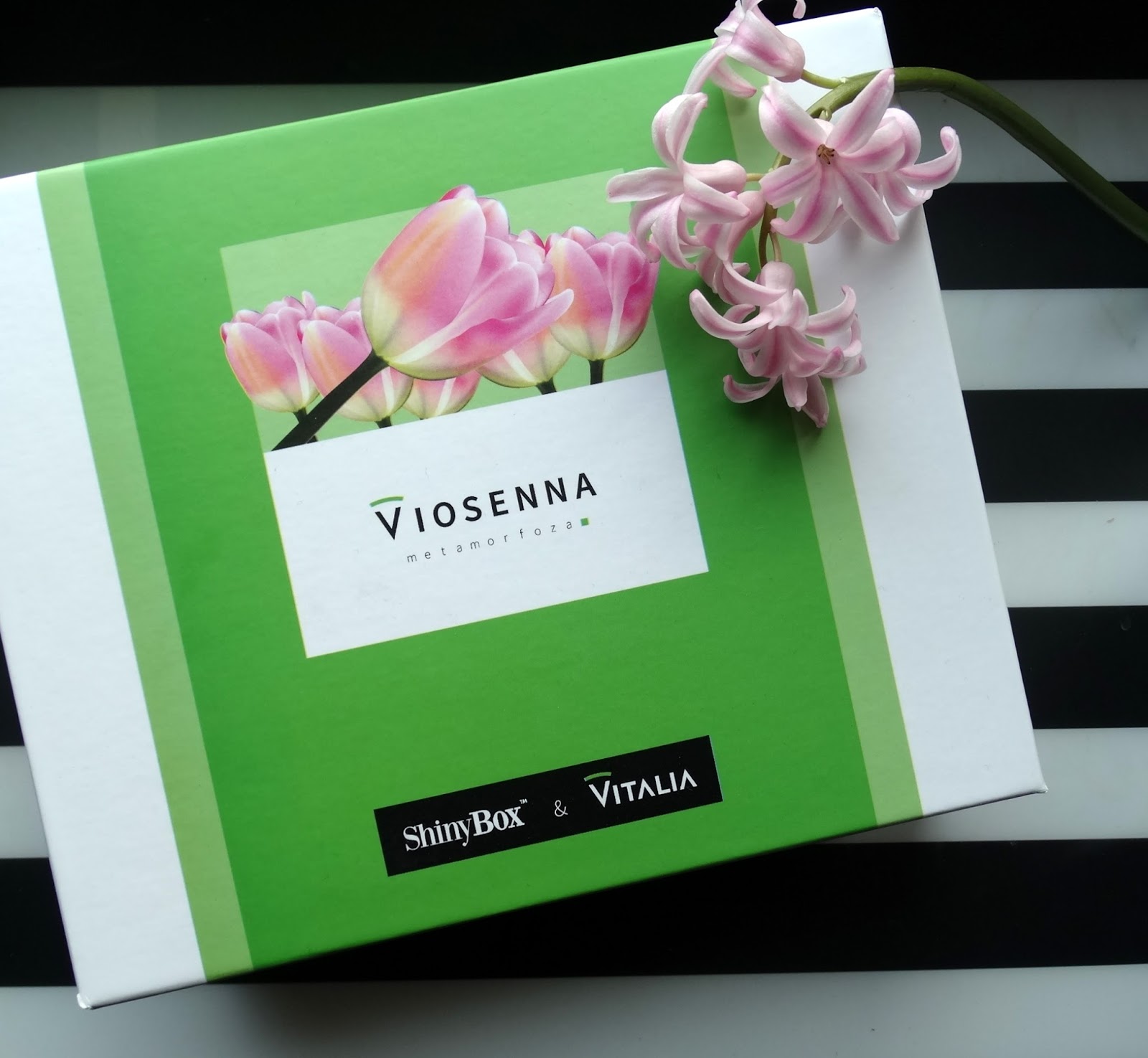 SHINYBOX VIOSENNA METAMORFOZA