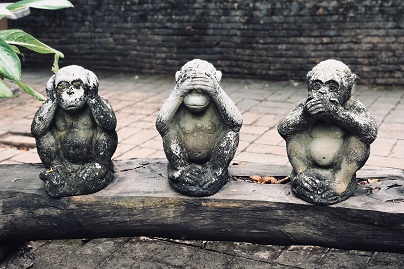 three monkeys and knowledge