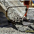 Harga beton cor jayamix-readymix majalengka