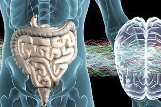 A Microbiota de um Ocidental, quais as consequências?