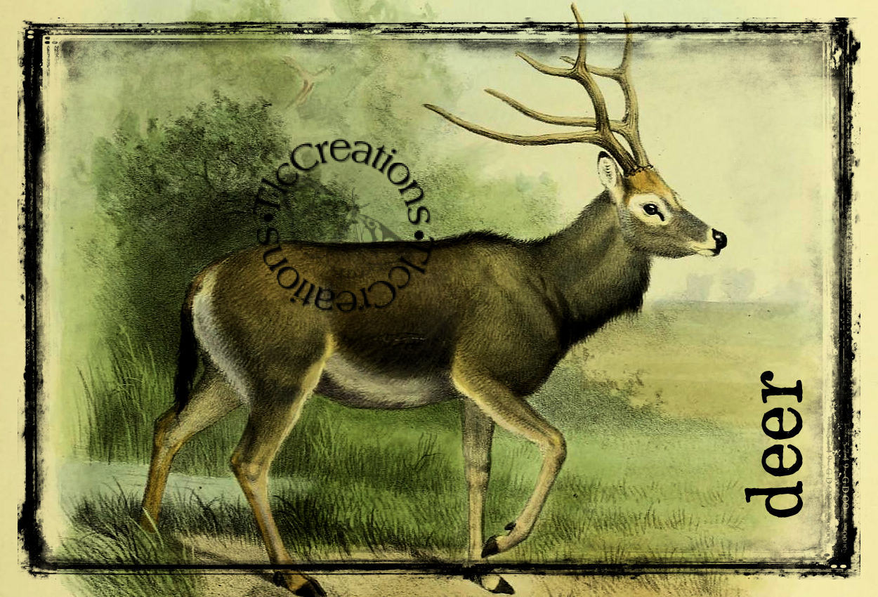 Create with TLC: Fawned of Deer, Vintage Printable Junk Journal Kit...