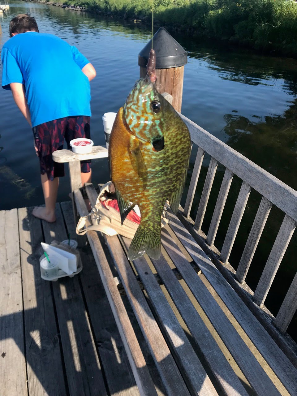 Big catch today on Wayzata dock.