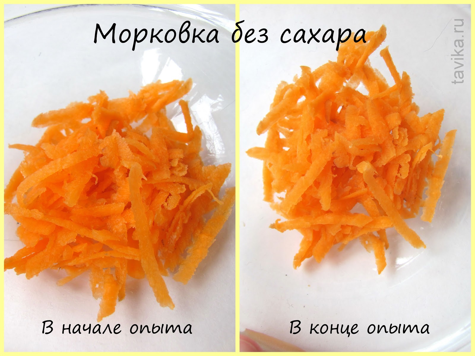 коррозия железа опыт. эксперимент с морковью и водой. опыты с морковью. опыты для детей с морковкой. фигура морковка.