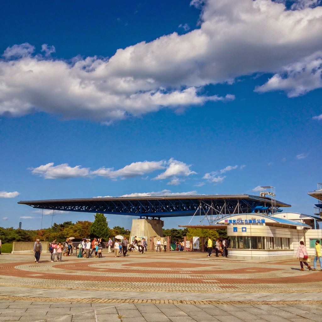 HITACHI SEASIDE PARK HITACHI KAIHIN KOEN visual data 6