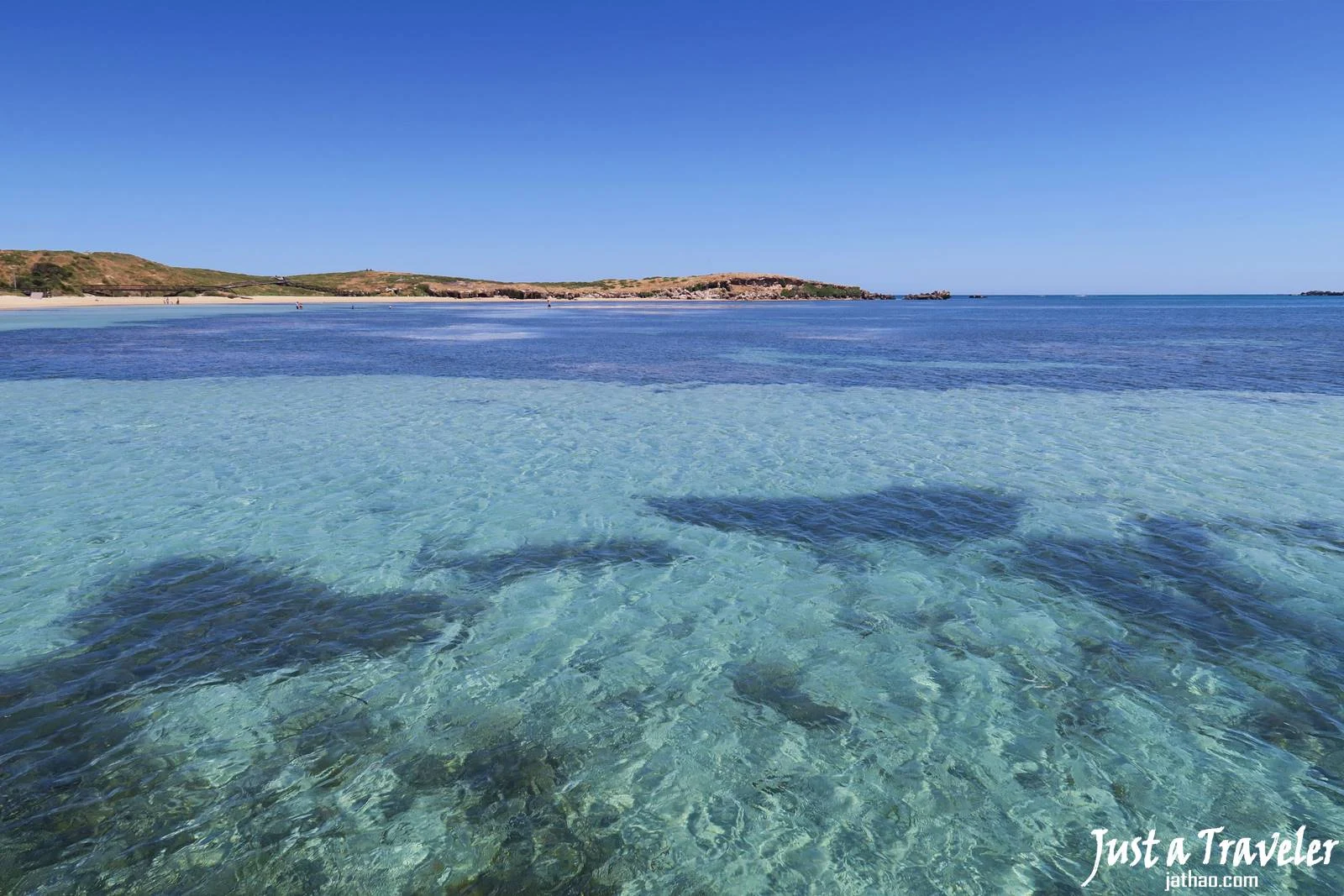 伯斯-景點-推薦-必玩-一日遊-企鵝島-Penguin-Island-遊記-交通-渡輪-旅遊-自由行-Perth