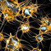 Crean "jueguetona" red neuronal basada en ADN
