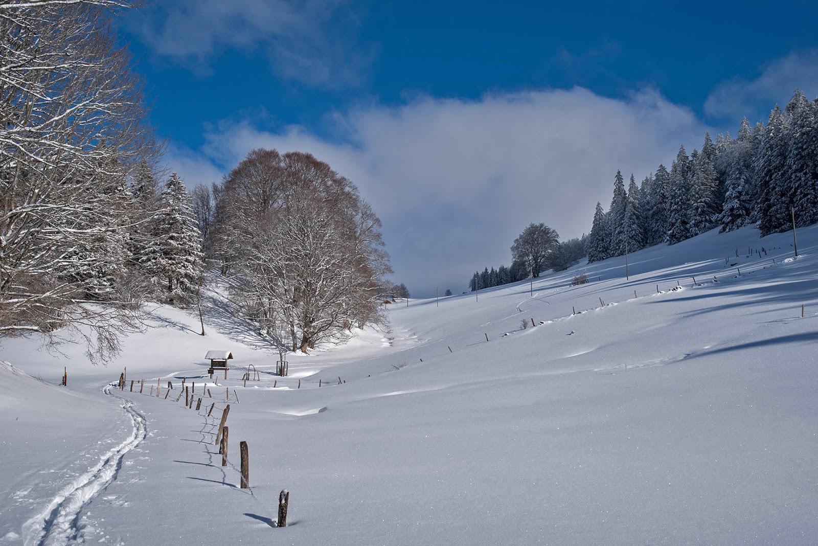 Wanderbare Suonen 2017 Spuren am Mont Racine