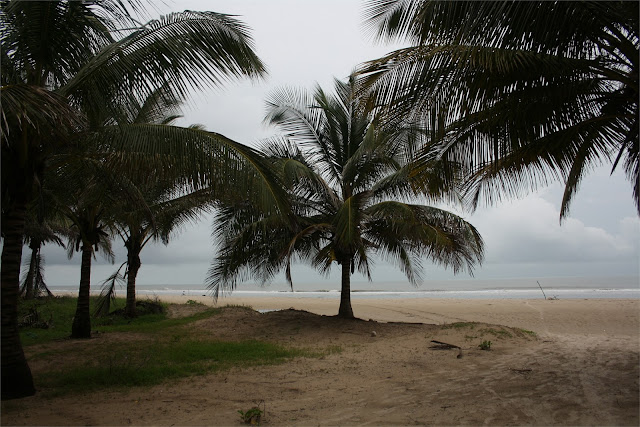 La playa está a escasos metros del campement.