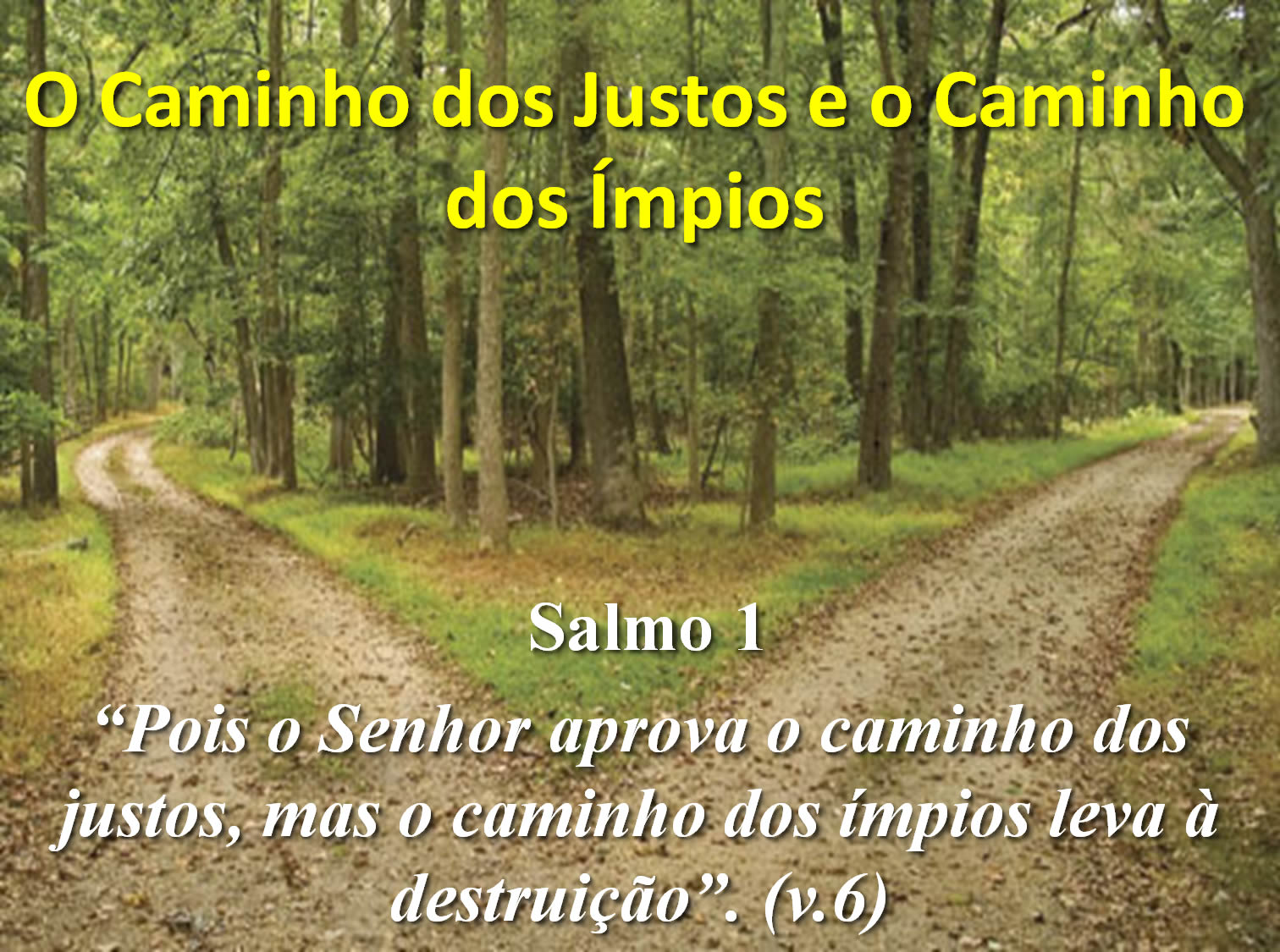 PREGUE A PALAVRA O CAMINHO DOS JUSTOS E O CAMINHO DOS IMPIOS. PREGUE A PALAVRA O CAMINHO DOS JUSTOS E O CAMINHO DOS IMPIOS.