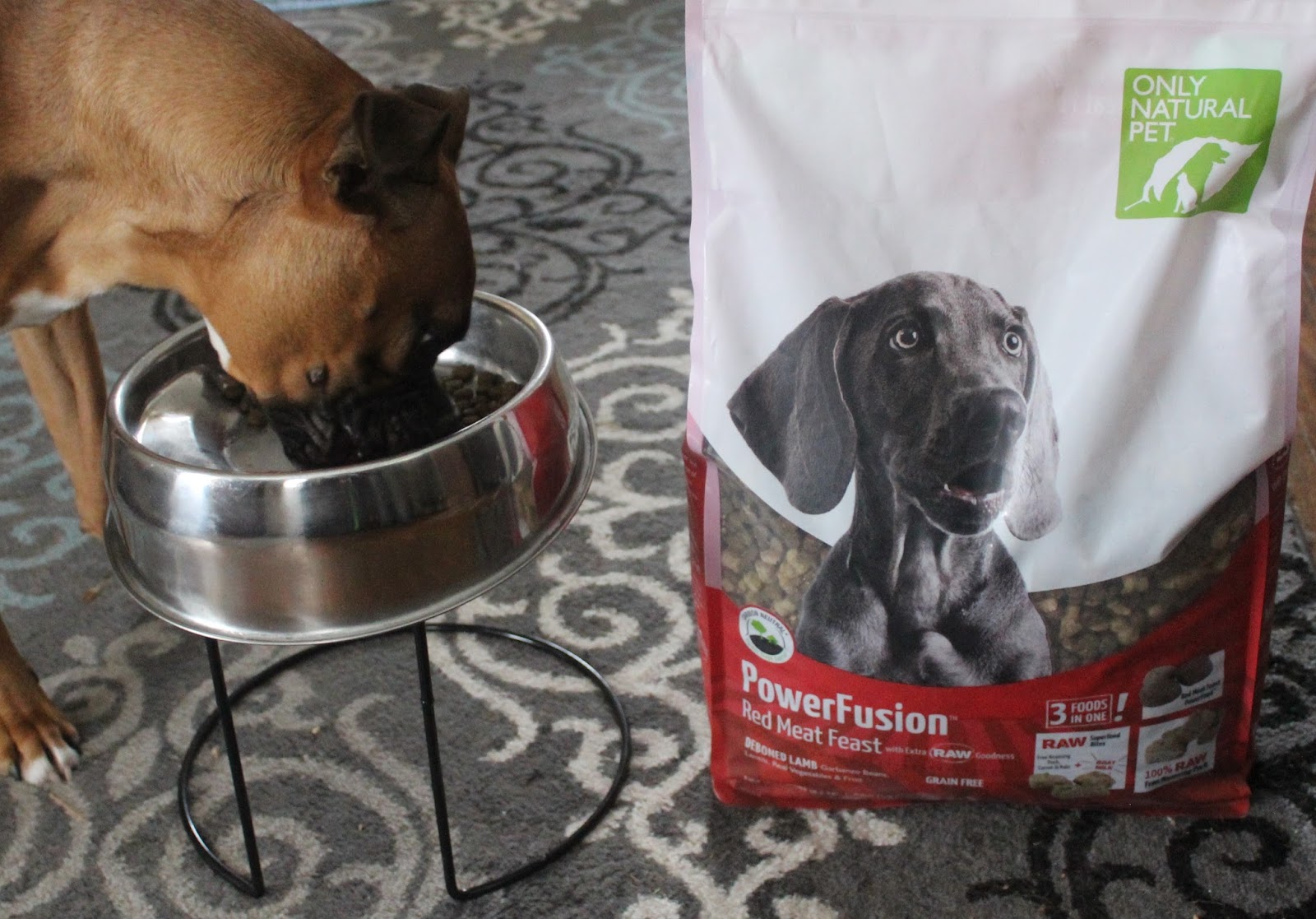 Dog Madness PowerFusion Grain Free Raw Infused Dog Food Is Pawesome