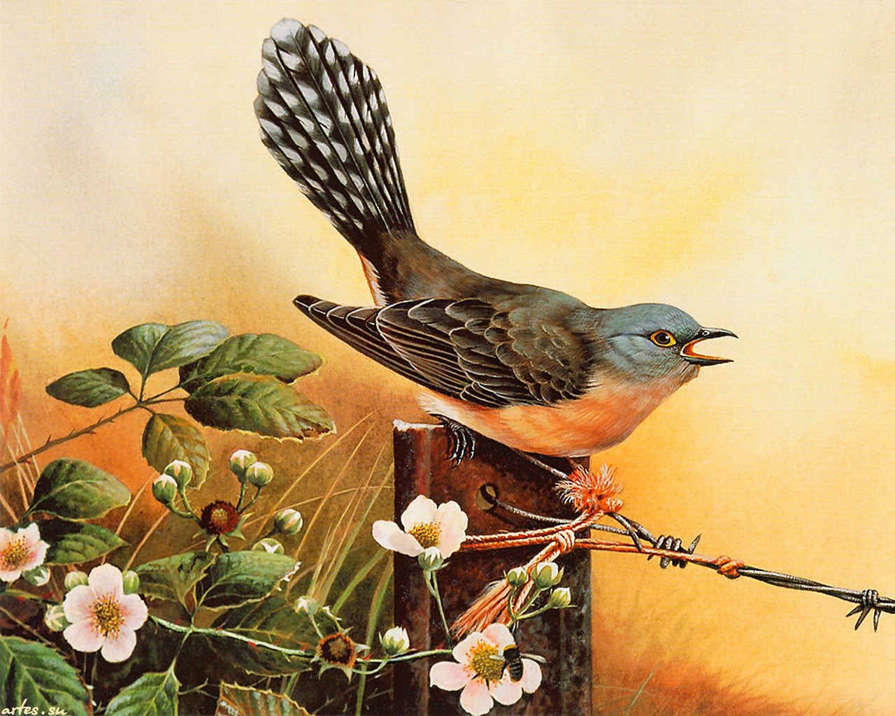 Весенние песни картинки