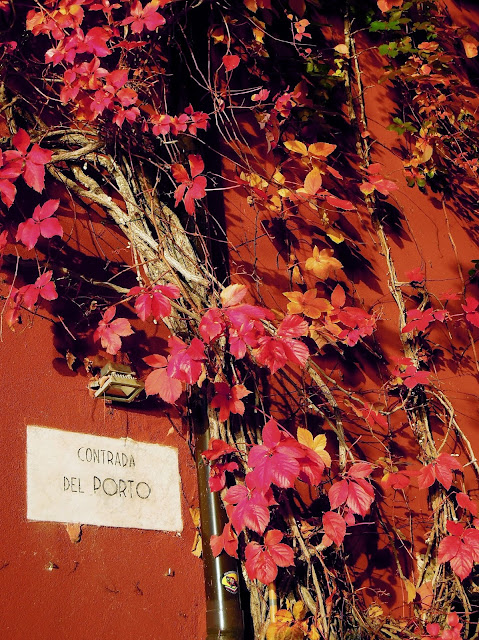 #QuelRamoDelLagoDiComo: Varenna, la più bella del reame