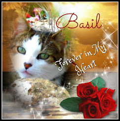 Basil Forever