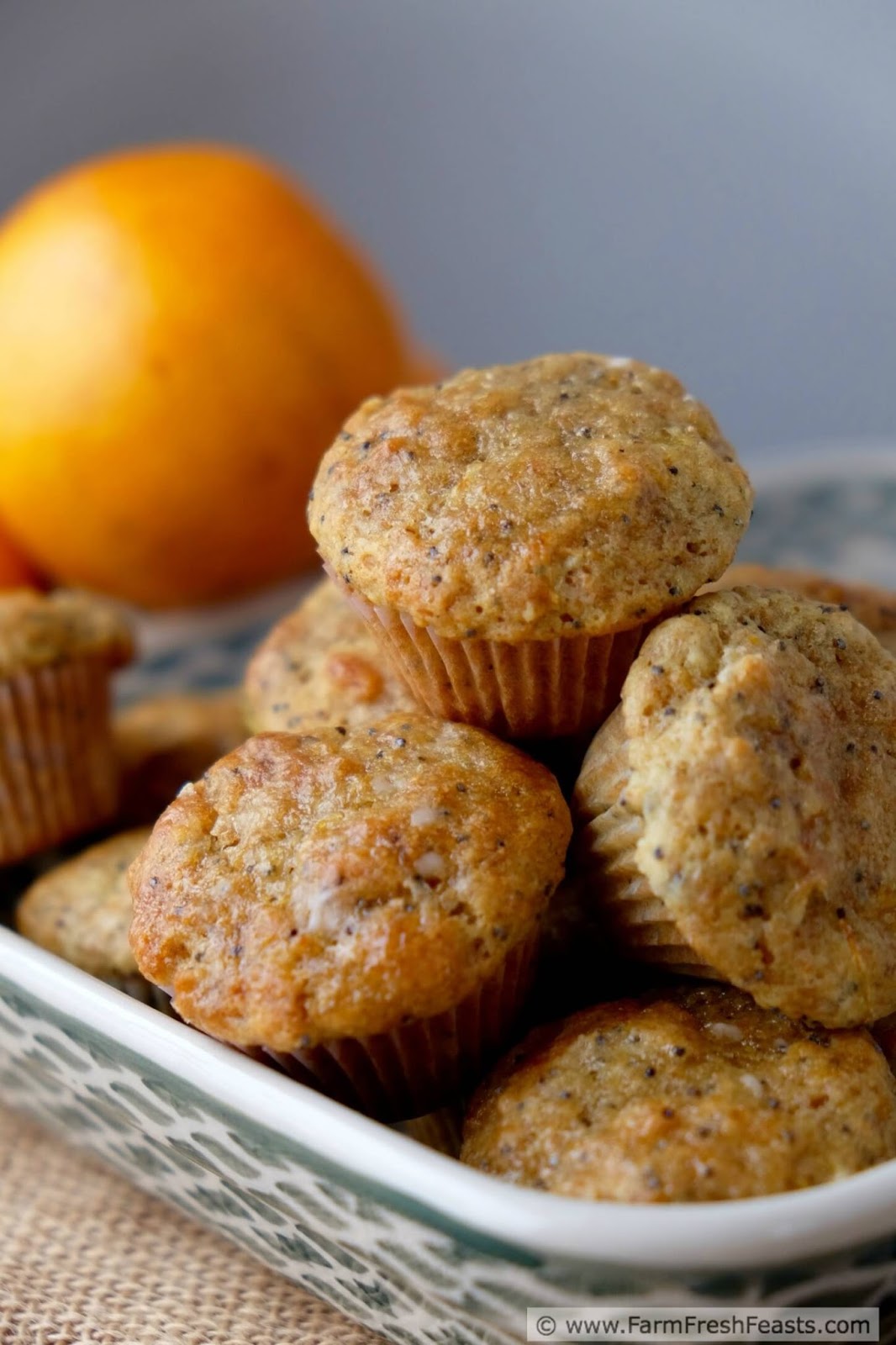 Farm Fresh Feasts Glazed Orange Poppyseed Muffins MuffinMonday