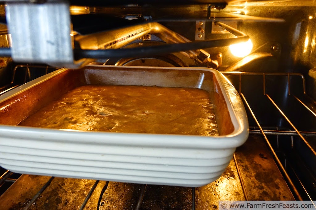 http://www.farmfreshfeasts.com/2014/09/pear-walnut-sourdough-coffee-cake.html