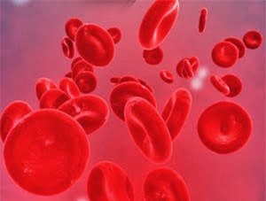  Kemaren kita telah membahas perihal Fungsi Darah dan anda semua udah tau kan apa aja fung Pengertian dan Fungsi Sel Darah Merah