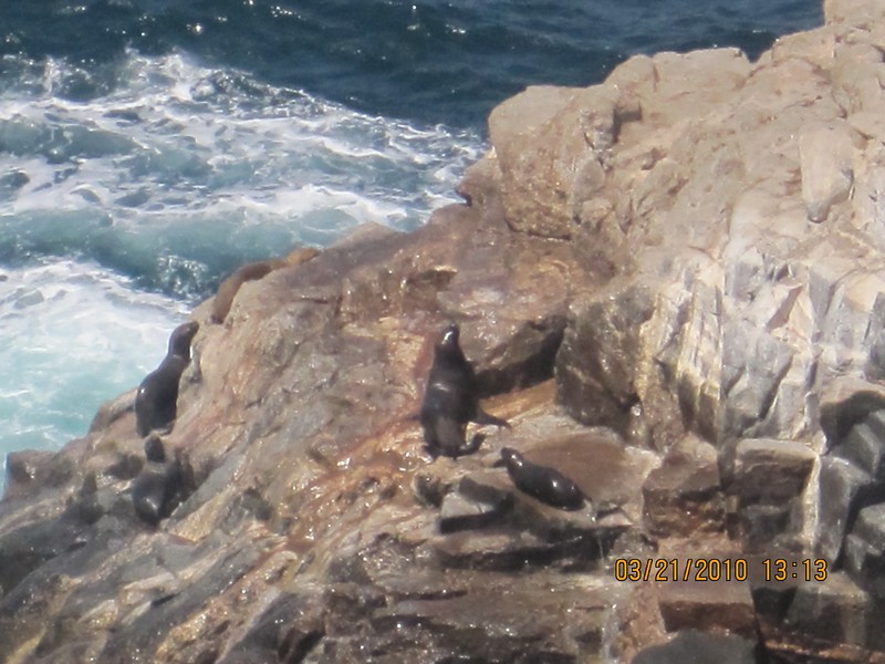 DISTRITO DE ATICO DISTRITO DE ATICO