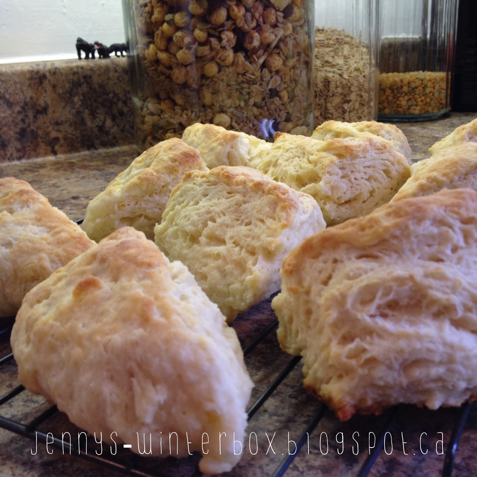 Jenny's Winter Box Buttermilk Biscuits Recipe