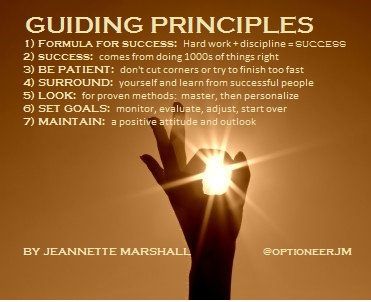 GUIDING PRINCIPLES