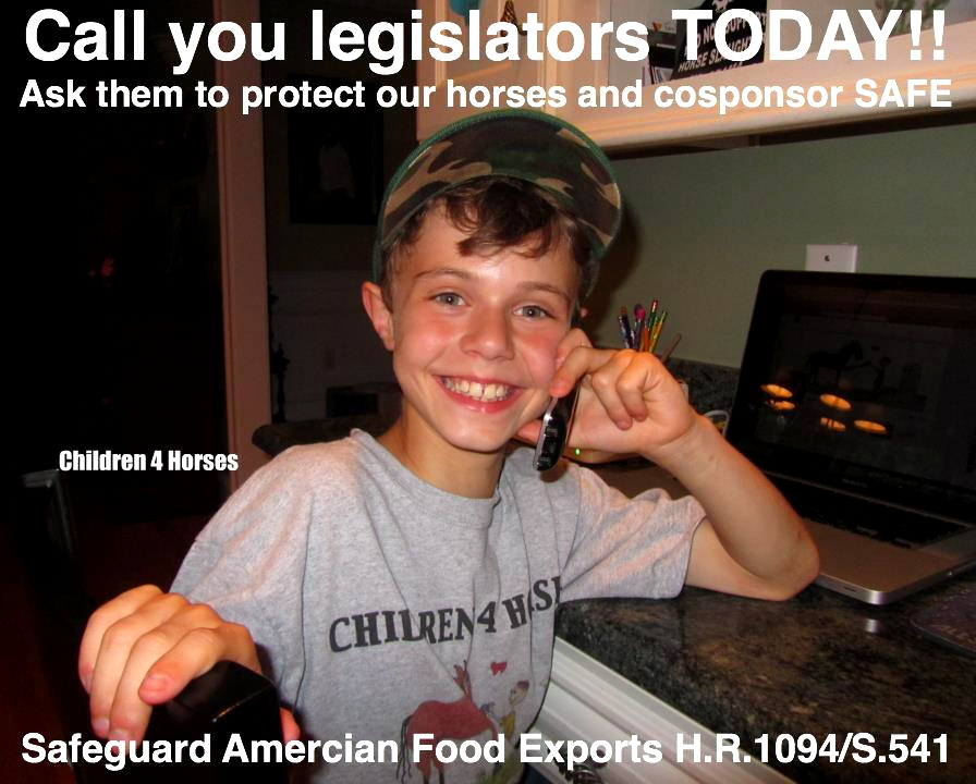 Children 4 Horses: It's National Animal Advocacy Day: Please Make a