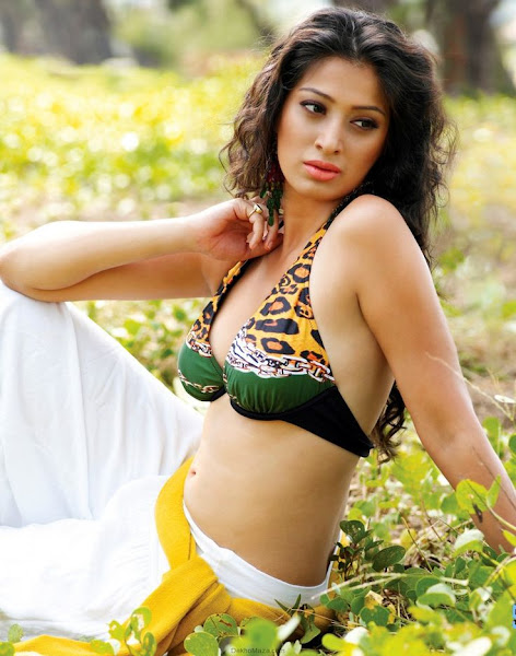 Raai Lakshmi Photo-shoot Stills