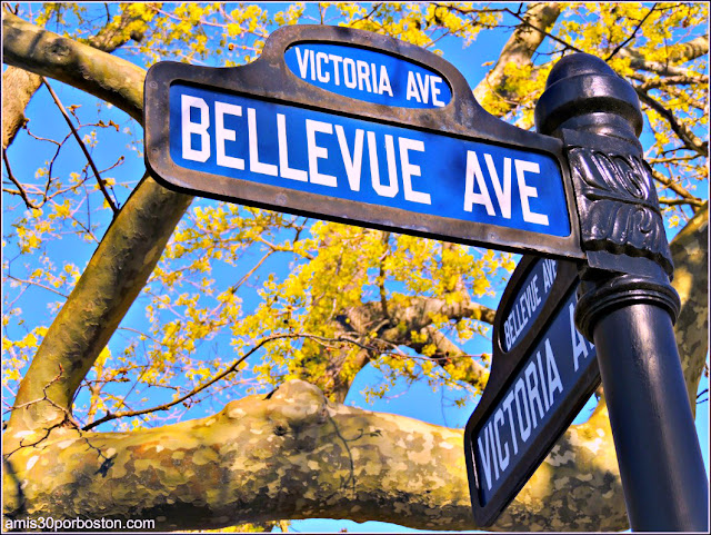 Bellevue Avenue en Newport, Rhode Island