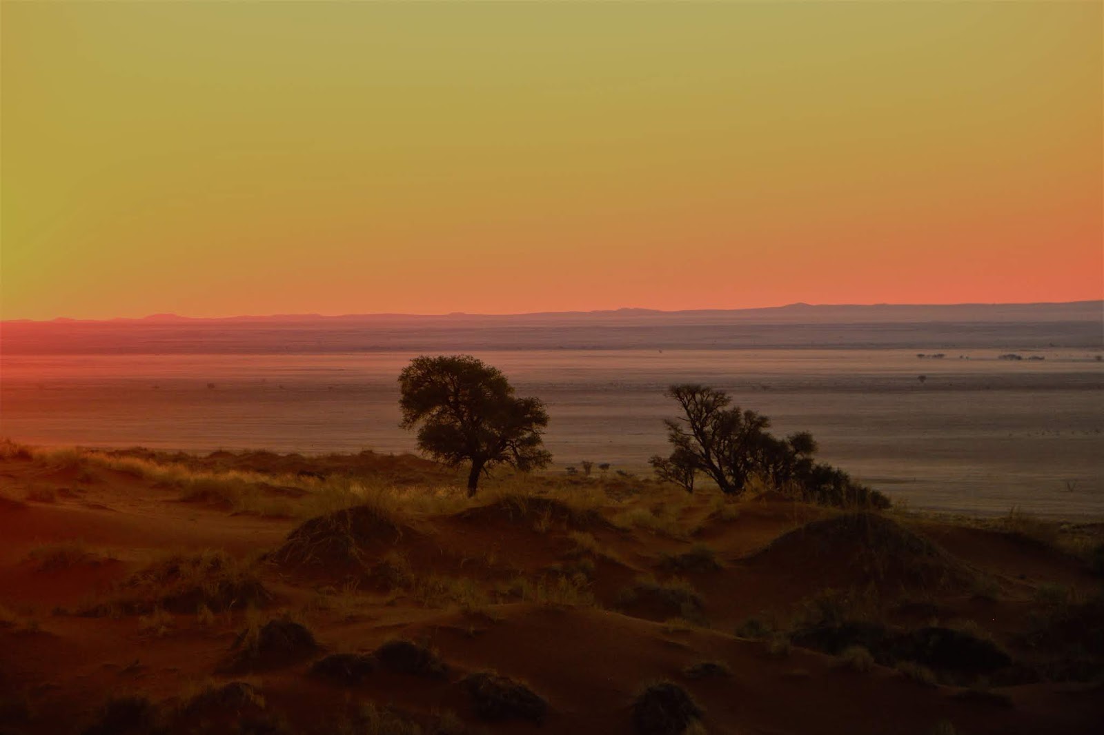 Unser Reisetagebuch: Unterm Sternenhimmel