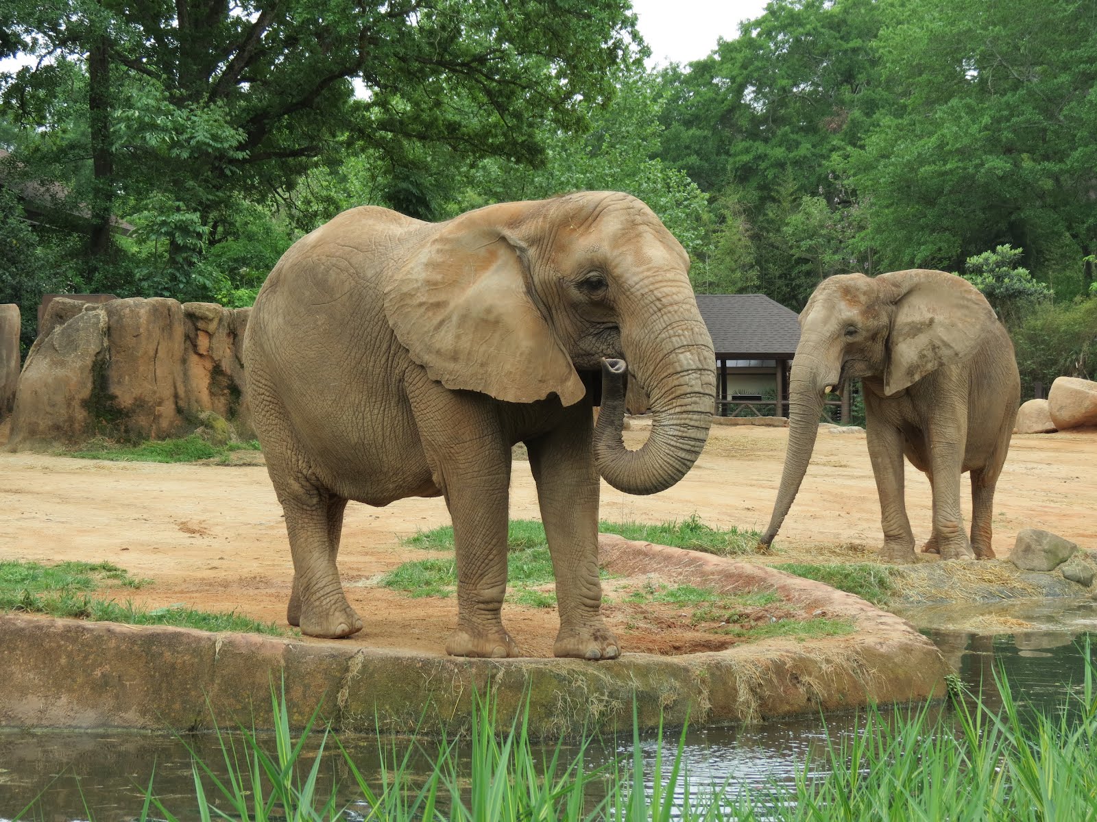 Our Family is Raised on Love 1st Trip to the Riverbanks Zoo