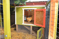 chicken build coop plans ark coops chickens inside diy urban plan designs backyard homemade pen run easy nest layout step