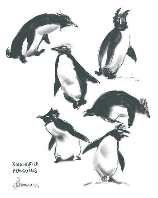 Rockhopper penguins gesture drawing by Artmagenta
