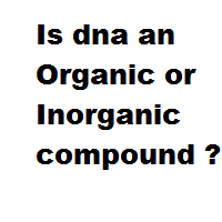 Is dna an Organic or Inorganic compound ? Is dna an Organic or Inorganic compound ?