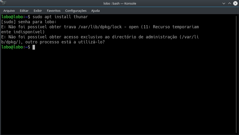 Sudo дыра в безопасности. It is held by process apt. Миграция сетевой архитектуры. Ошибка при установке линукс. /var/lib/sss/mc/passwd.