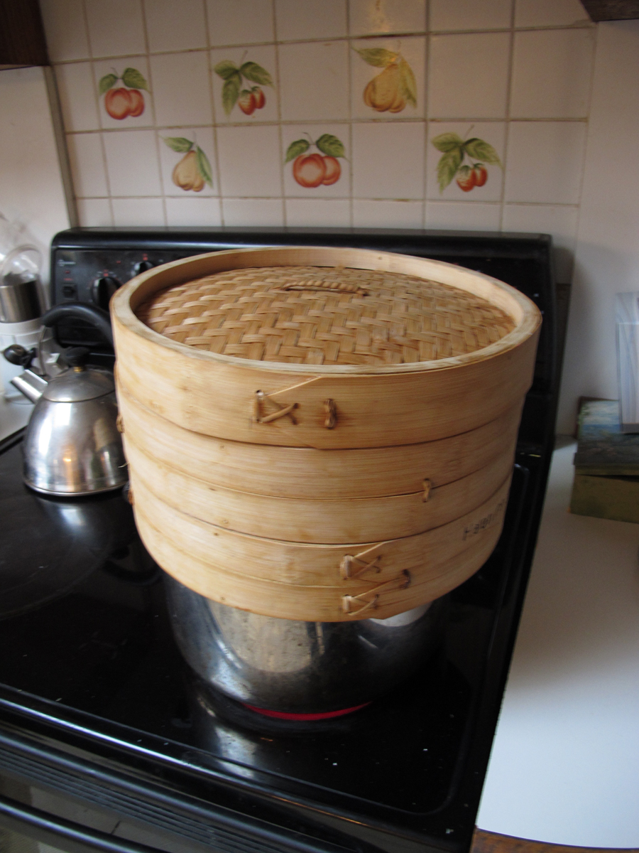 Colors That Sing By Vivien Pollack Silk Painting Steaming Steam Set