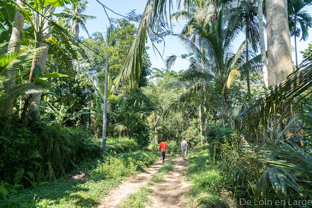 Ceking - Tegallalang - Ubud - Bali