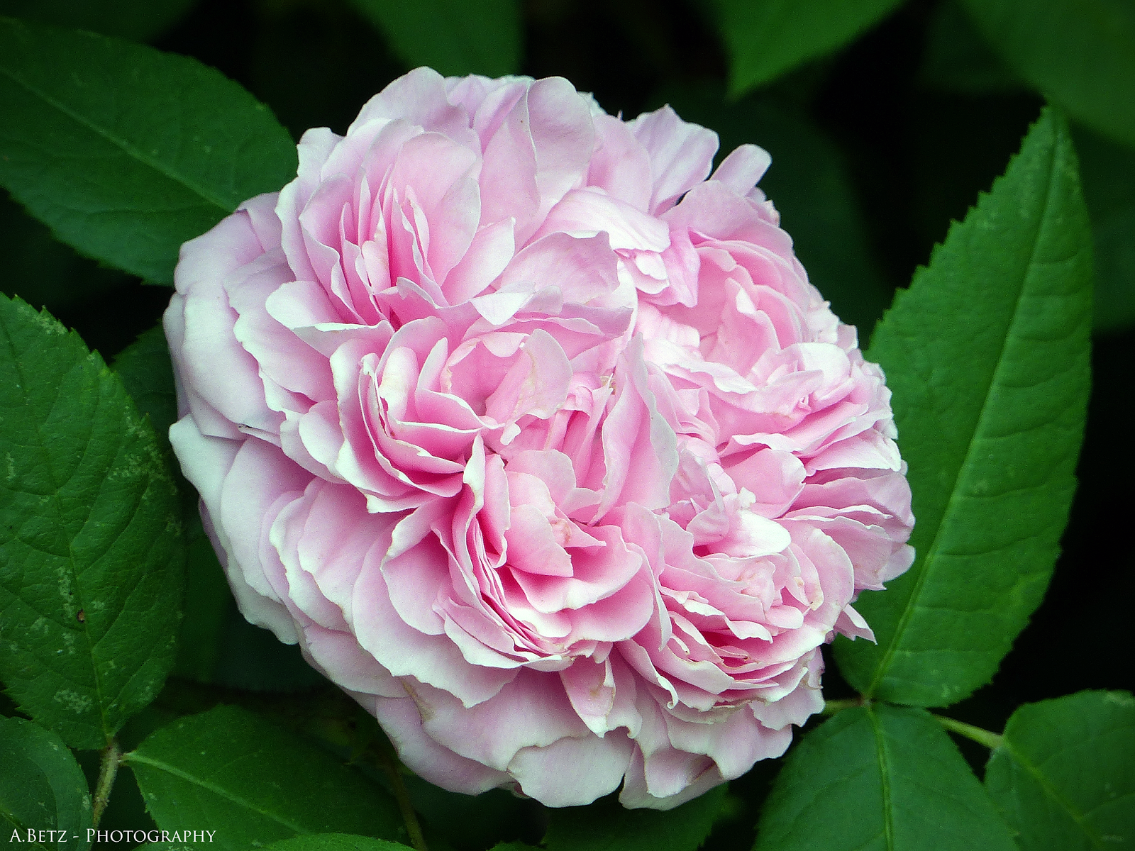 Augenblicke Fotografie Schloss Weingartsgreuth