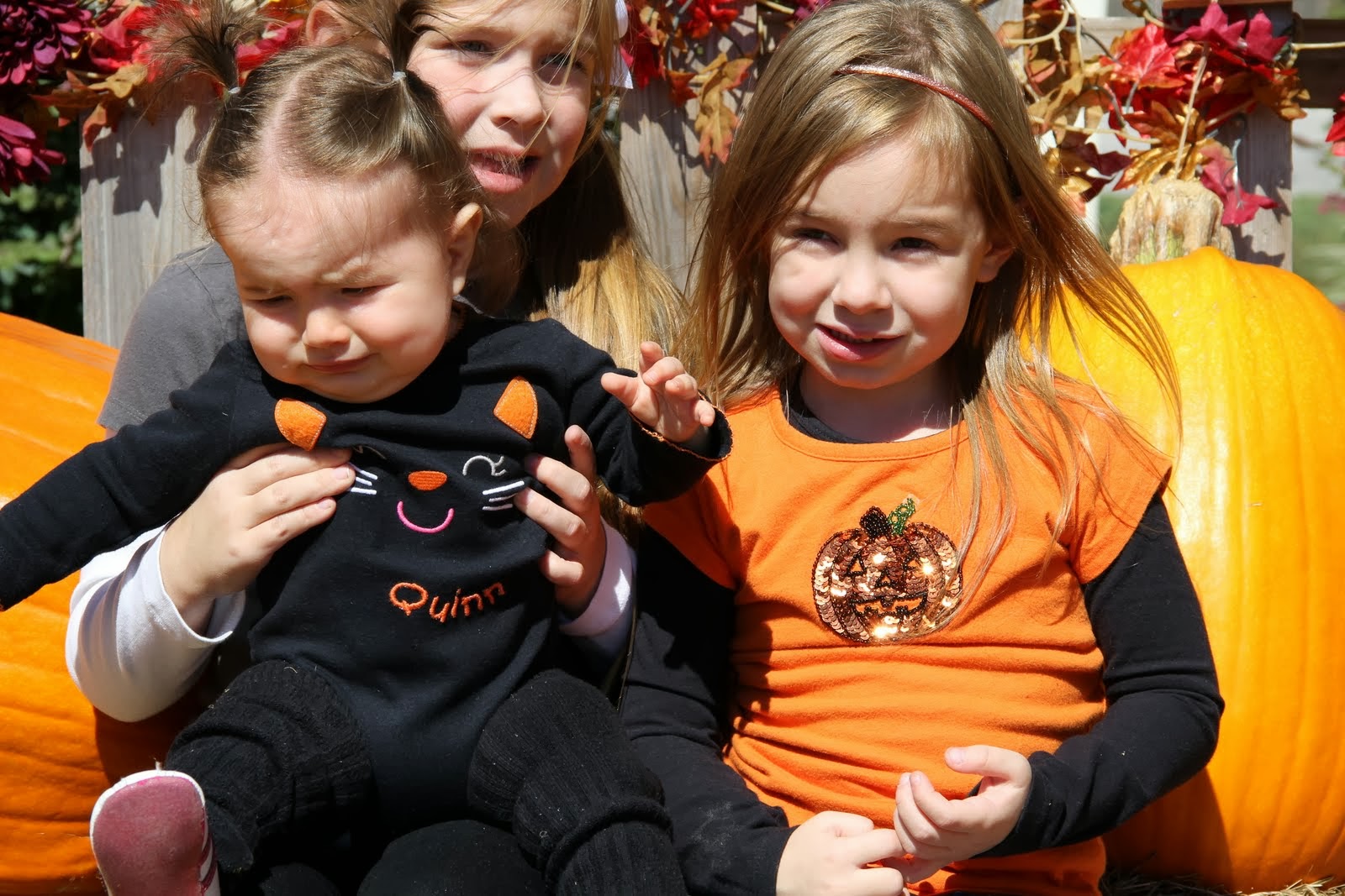 Adding to the family...............: Pumpkin Patch 2013