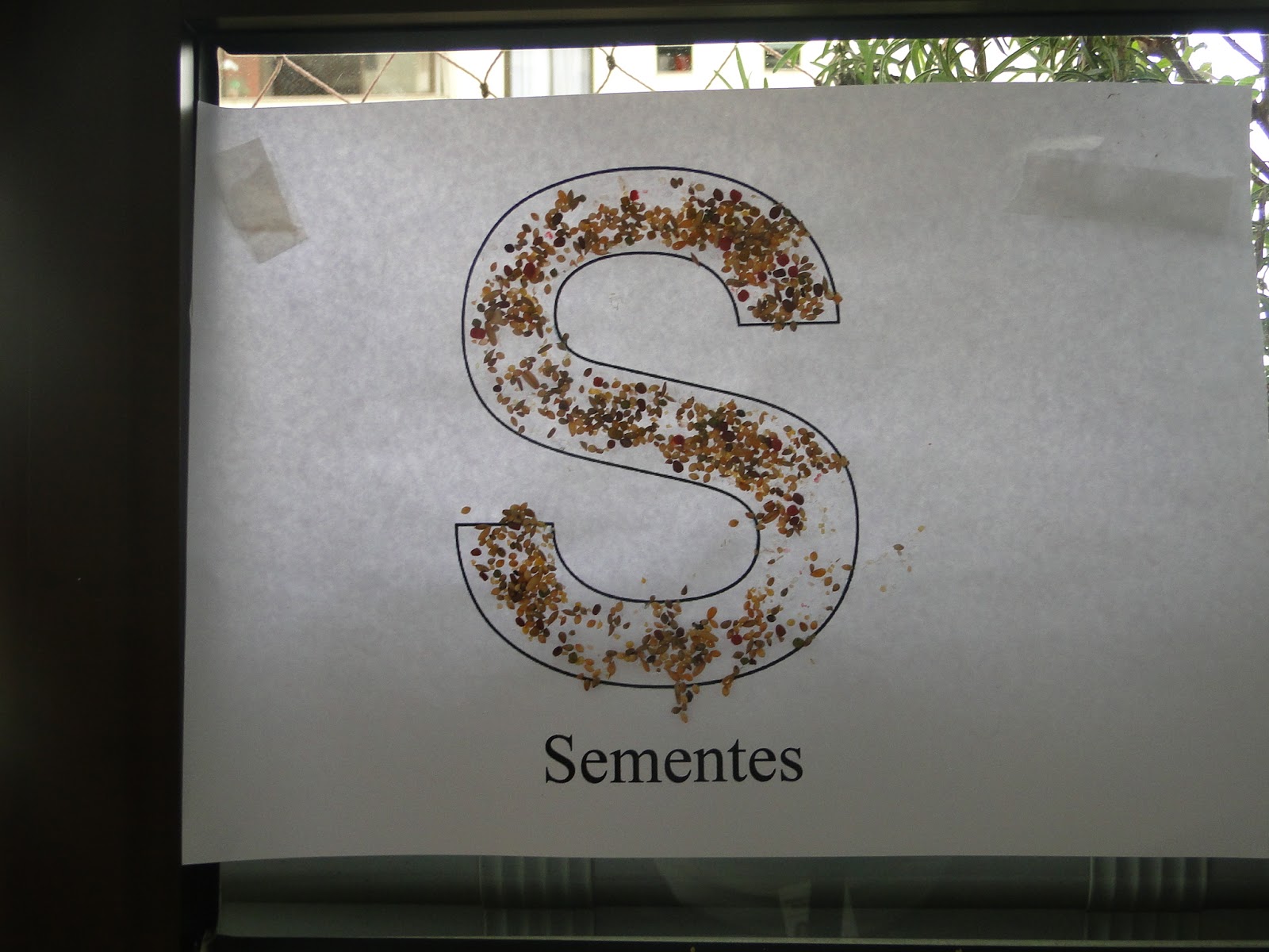 Terceiro dia: Letras e sementes ~ Tempo em Casa, ensinando!