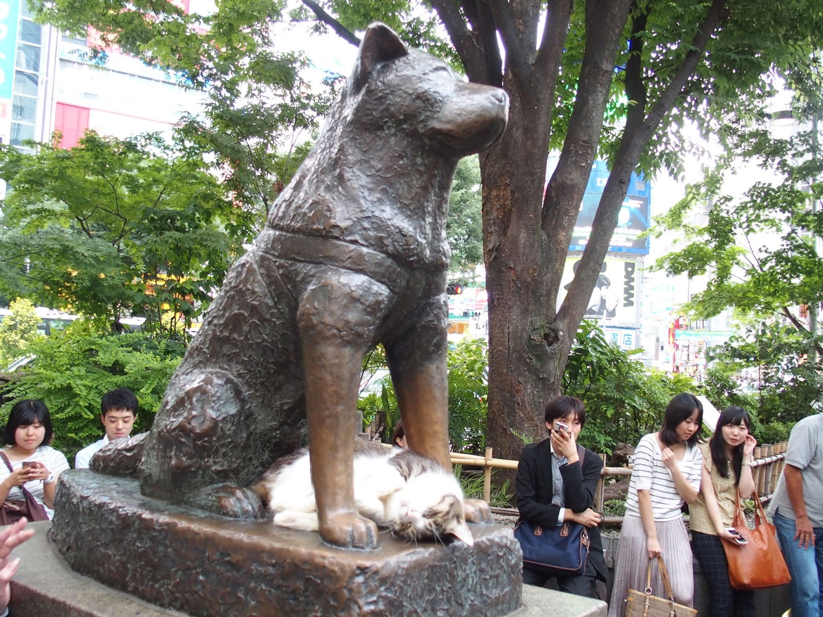 Хатико в каком городе. Станция Сибуя Хатико. Статуя Хатико. Статуя Хатико в Японии. Памятник Хатико в Токио.