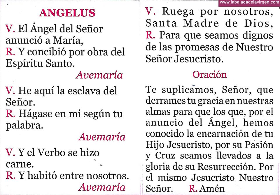 Colonos Factibilidad Meditativo Oración a la Virgen de Las Nieves - Bajada 2020 ~ Bajada de la Virgen de  Las Nieves - La Palma