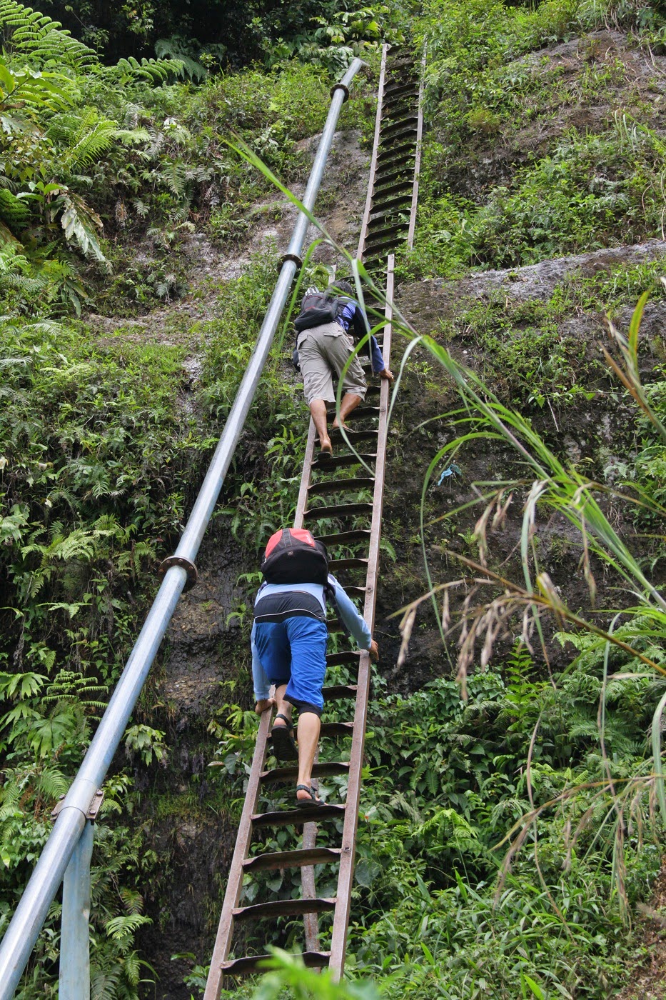 contoh surat wasiat 2